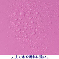 ボックスファイル組み立て式　A4タテ　10冊　PP製　ピンク　セリオ