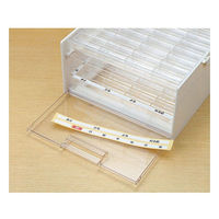 シンコハンガー　くすり整理2週間ケース　1個