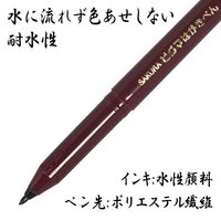サクラクレパス 水性マーカー ピグマはがきぺん 細字 黒 SDKハガキ#49 1セット(10本)