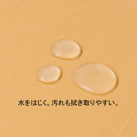 フラットファイル　PPラミネート　A4タテ　10冊　イエロー　アスクル  オリジナル