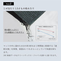 クリーンテックス・ジャパン ウォーターホースTマット88X116cmグリーン BZ000 1枚