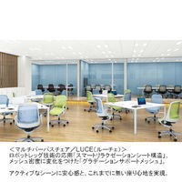 81L1GR FGR3 |オカムラ ルーチェ オフィスチェア ホワイトフレーム 肘無し ミディアムブルー 1脚（直送品）