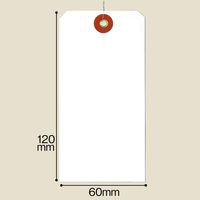 長門屋商店 ユポ（R）荷札（RoHS対応） 2号（大） 白 ニ-N532 1箱（500枚：100枚入×5パック）