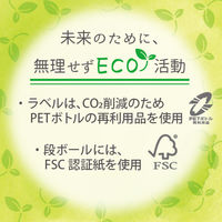 伊藤園 香り豊かなお茶 緑茶 500ml 1セット（48本）  オリジナル
