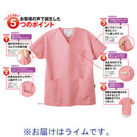 フォーク カラースクラブ ライム L BAS-001 1枚　スクラブ オリジナル