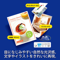プラス　カラーレーザー用紙　両面セミ光沢紙　薄口　56273　A4　PP-120WH　1冊（100枚入）