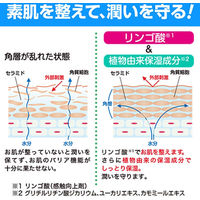 ソフティ泡のヘッド＆ボディシャンプー 業務用詰め替え10L 全身シャンプー 花王