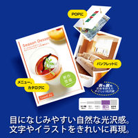 プラス　カラーレーザー用紙　両面セミ光沢紙　厚口　56280　A4　PP-120WH-M　1冊（100枚入）