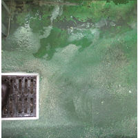 ニイタカ ビーワーク　床用 900ml  厨房の床用 989301　1セット(4個)