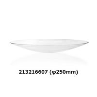 DWK Life Sciences 時計皿 φ250mm 213216607 1枚 1-8391-08（直送品）
