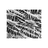 メルク オムニポアTM メンブレン(水系、溶媒系両用) 0.45μm×φ47mm 100枚入 JHWP04700 1箱(100枚)（直送品）