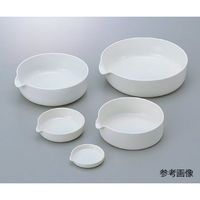 ニッカトー 蒸発ざら(平底)φ105mm 160mL CW-No.4 1枚 5-4045-04（直送品）