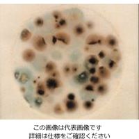 ネオジェンジャパン ペトリフィルム(TM)培地 (カビ|酵母測定用/50枚×2袋) 6407YM 1箱(100枚) 6-8641-08（直送品）