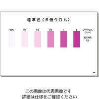 共立理化学研究所 パックテスト(R) (簡易水質検査器具) 6価クロム 1箱(5本×10袋入) WAK-Cr6+ 1箱 6-8675-06（直送品）
