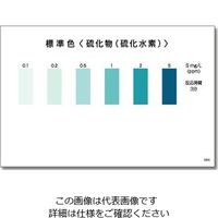 共立理化学研究所 パックテスト(R) (簡易水質検査器具) 硫化物(硫化水素)1箱(5本×8袋入) WAK-S 1箱 6-8675-35（直送品）