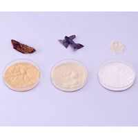 大阪ケミカル アブソリュートミル ABS-W 1台 5-3400-01（直送品）