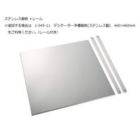 アズワン オートドライデシケーターBG・FN 574×524×1065mm ステンレス棚板 遮光型 BGFN-SS 1台 1-1613-02（直送品）