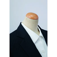 セロリー（Selery） 長袖ブラウス ホワイト 17号 S-36508 1着（直送品）