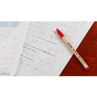 寺西化学工業 マジックラッションペン No.300 緑 M300-T4