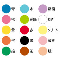 ハピラ 色画用紙 15色アソート A4 IG15A4 10冊