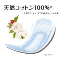 アテント　コットン100%自然素材パッド安心少量　1パック（32枚入）　大王製紙