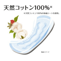 アテント　コットン100%自然素材パッド快適中量　1パック（24枚入）　大王製紙