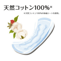 アテント　コットン100%自然素材パッド中量　1パック（22枚入）　大王製紙