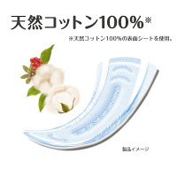アテント　コットン100%自然素材パッド多い時・長時間も安心　1パック（16枚入）　大王製紙