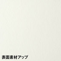 CFパネル　高さ1869mm　幅900mm　上下樹脂コンビパネル　レザータイプ　アイボリー　サンテック　（取寄品）