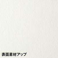 CFパネル　高さ1503mm　幅1200mm　クリアコンビパネル　レザータイプ　アイボリー　サンテック　（取寄品）