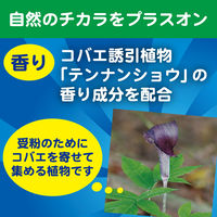 【アウトレット】コバエがポットン 置くタイプ コバエ取り 1箱（2個入） 大日本除虫菊 KINCHO キンチョー