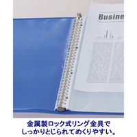 クリヤーブック 差し替え式 30穴 A4タテ 15ポケット 背幅25mm 10冊 6色アソート リヒトラブ  オリジナル