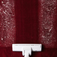 SHARP（シャープ）　遠心分離式サイクロン掃除機 EC-CT12-C