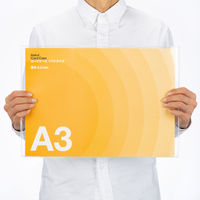 アスクル　カードケース　ソフトタイプ　A3　20枚  オリジナル