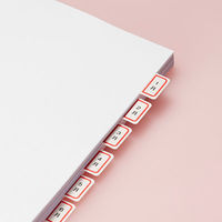 アスクル　インデックスラベル　コクヨ タイトルブレーン対応　小（25×18mm）　赤　1袋（352片）  オリジナル