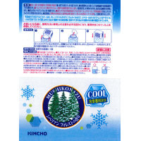 虫コナーズ ビーズタイプ 250日用 シベリアンフォレストの香り 1セット（5個：1個×5） 大日本除虫菊（KINCHOキンチョー）