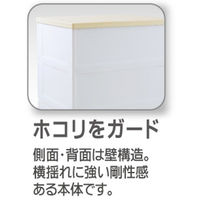 天馬 Fit's Plus フィッツプラス 木天板チェスト 幅35cm 4段 メープル 幅350×奥行410×高さ850mm 1台（取寄品）