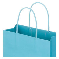 レザートーン手提袋　丸紐　アクアブルー　L　1セット（50枚：10枚入×5袋）　スーパーバッグ  オリジナル