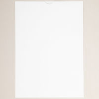 金鵄製作所 プリンタ薬袋 B5 ツメ付 1箱（500枚入）