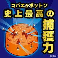 コバエがポットン　置くタイプ　1セット（3個入×3箱） KINCHO キンチョー　置き型