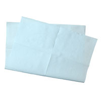 紙エプロン　ブルー　1袋（100枚入）
