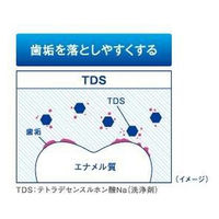 クリニカハミガキ フレッシュミント タテ型 130g 1本 ライオン