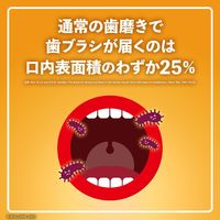 リステリン オリジナル 強刺激 ビタードライ味 1000mL 1本 口臭対策 マウスウォッシュ 洗口液 医薬部外品