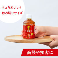キリンビバレッジ　午後の紅茶　ストレートティー　280ml　1箱（24本入）
