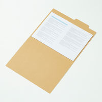 コクヨ 個別フォルダー カラー A4 茶 A4-IFS 1セット(30冊)