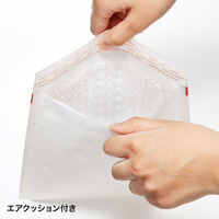 サンワサプライ 郵送用クッション封筒(10枚セット) FCD-DM3N-10 1セット(10枚入)