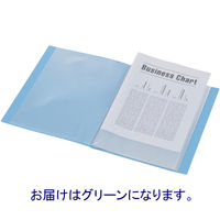 テージー クリアファイル 固定式20ポケット 10冊 A4タテ 透明表紙 ライトグリーン　マイホルダー