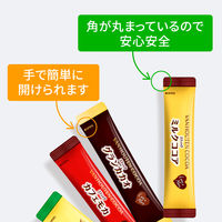 片岡物産　バンホーテン　グランカカオ　1セット（60本：20本入×3箱）