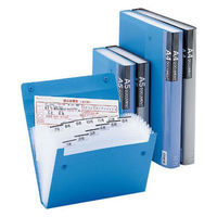 キングジム ドキュメントファイル エコノミータイプ A4 青 2274アオ 1冊