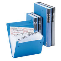 キングジム ドキュメントファイル エコノミータイプ A4 黒 2274クロ 1冊